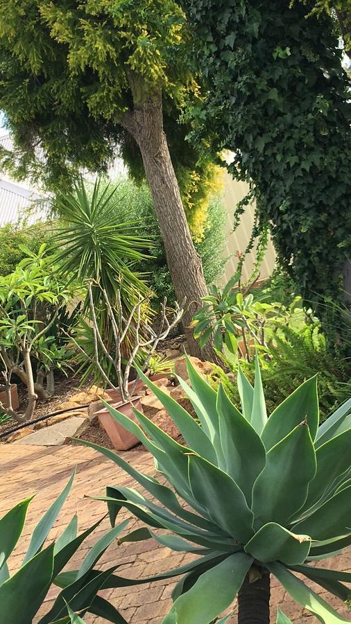 Armadale Cottage Bed&Breakfast Redcliffe Esterno foto